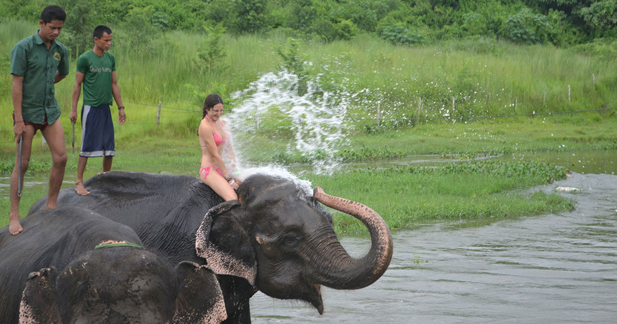 Elephant Bath
